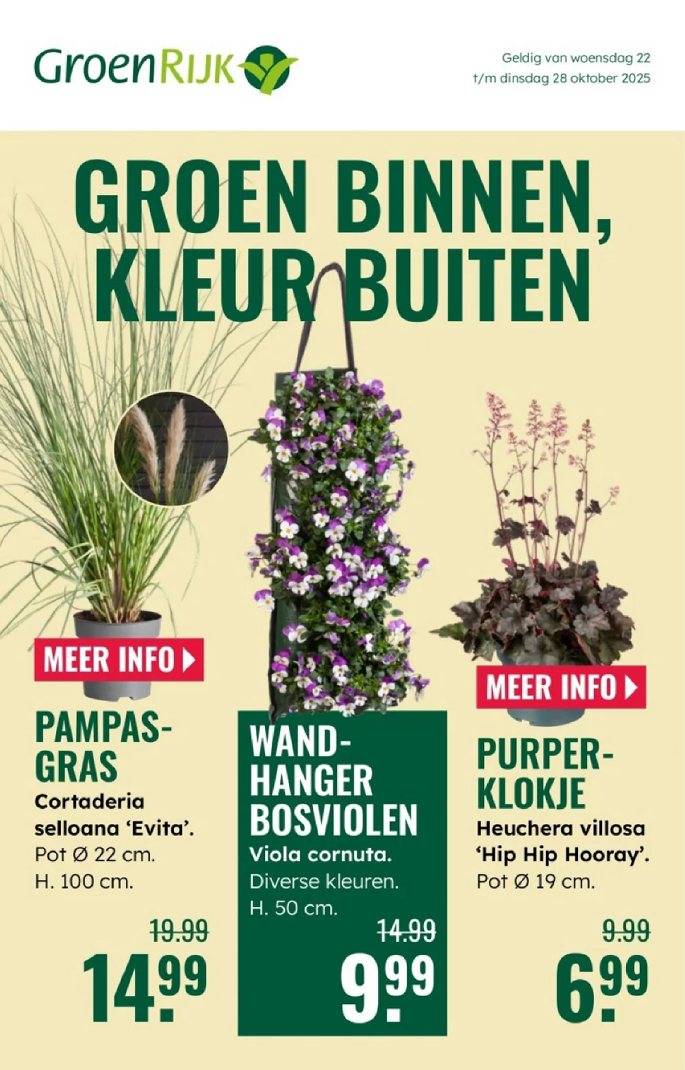GroenRijk Folder 29-10-2025 | Bekijk Alle Aanbiedingen Nu 1 groenrijk folder kw43