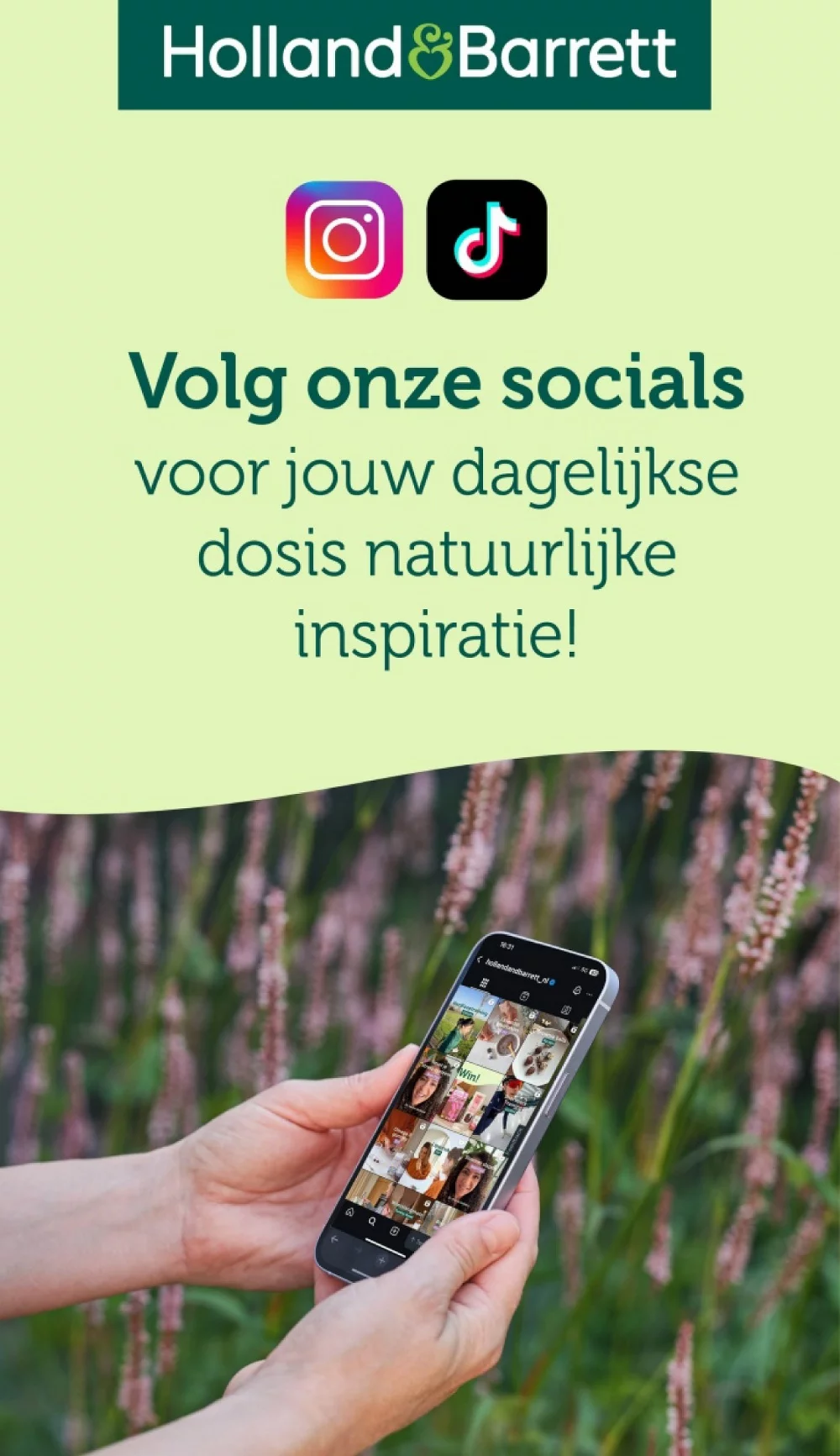 holland and barrett week 50 2025 30