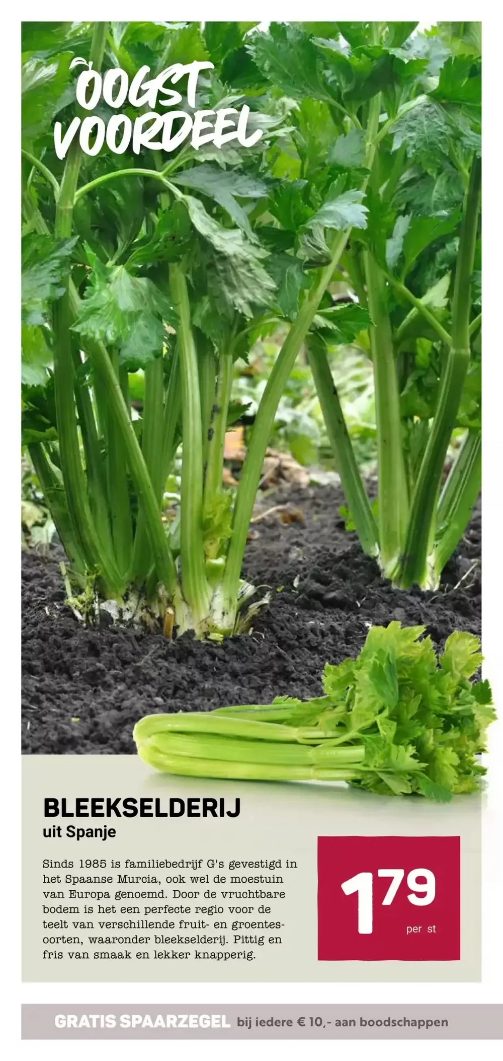 ekoplaza folder week 52 6