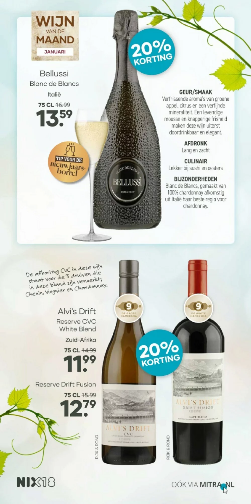 mitra folder week 2 3 2026 16