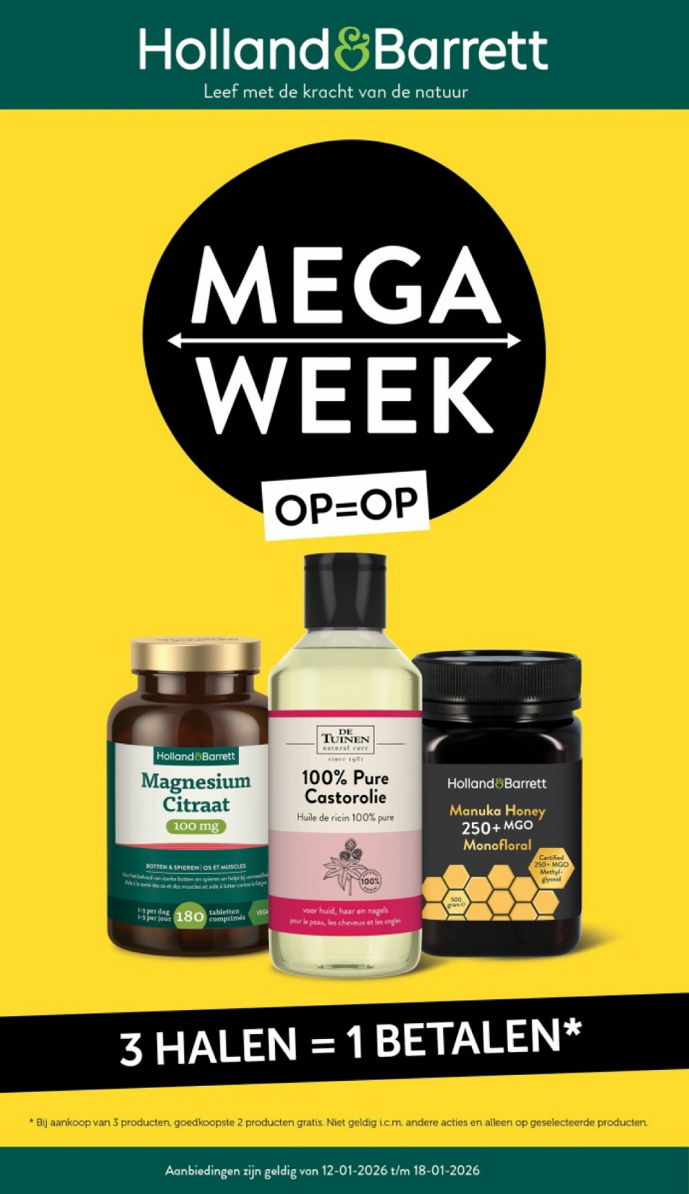 hollad and baret folder week-3