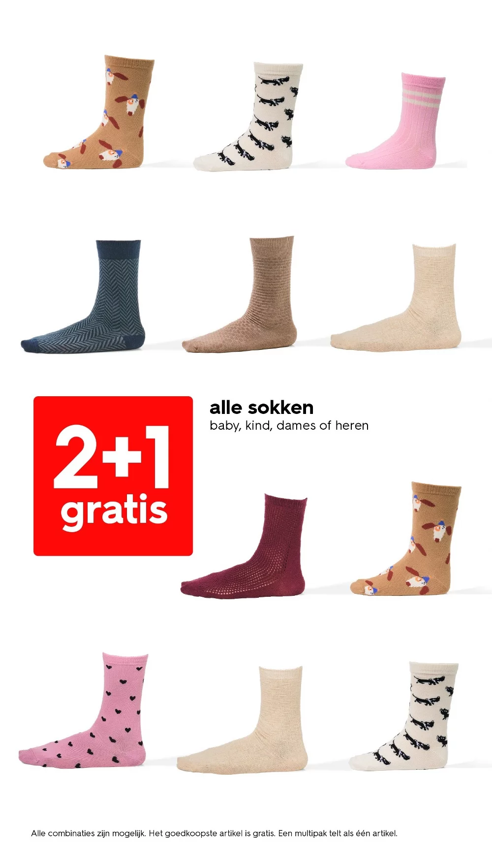 hema folder week 5 10