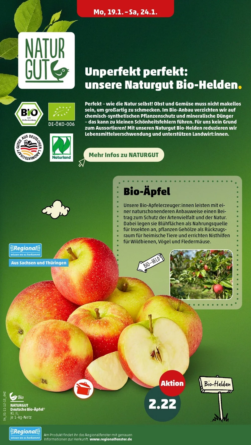 penny folder week 4 6