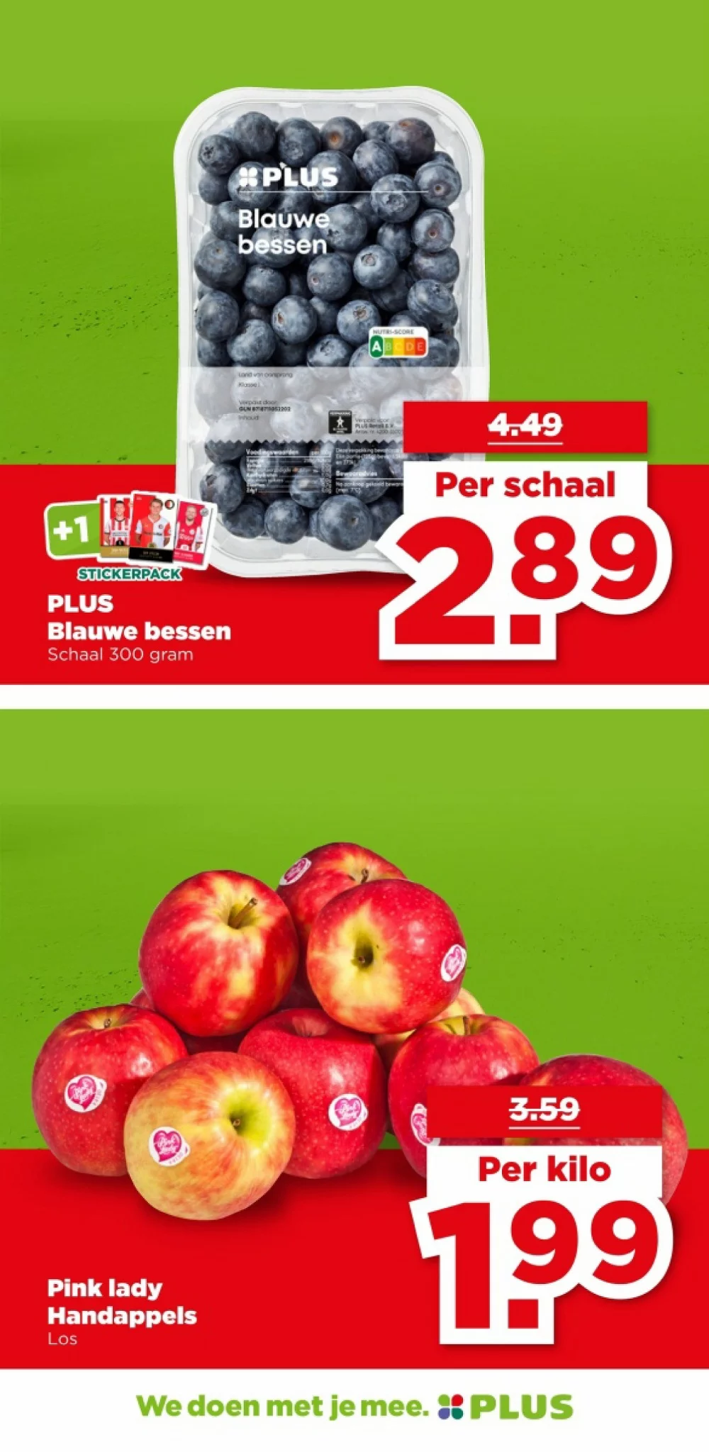 plus folder week 4 8